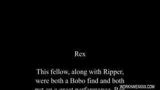 Rex