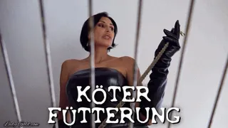 Köterfütterung