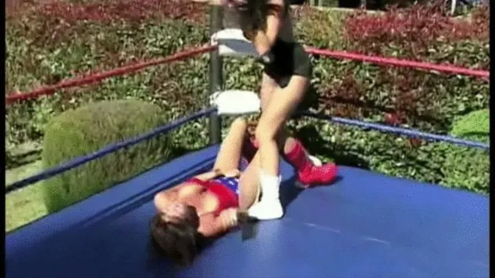 WONDER WOMYN LOW BLOWS pt 3 hp338