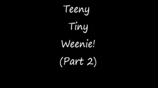 Your Teeny Tiny Weenie! - Part 2