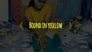 Bound in Yellow