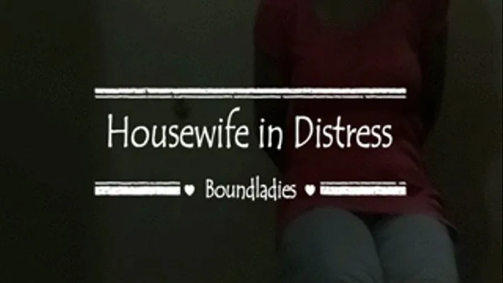 Housewife in ( )