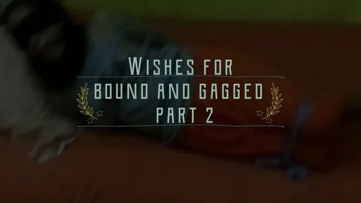 Wishes for bound and gagged part 2