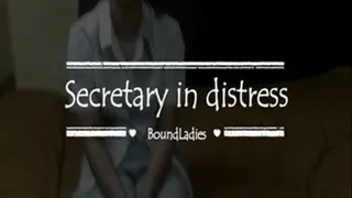 Secretary in