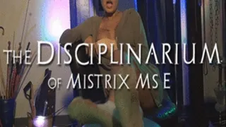 Bid on Mistrix's Dirty Socks