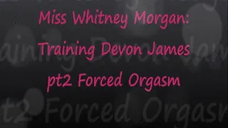 Miss Whitney: Training Devon James pt2 Orgasm