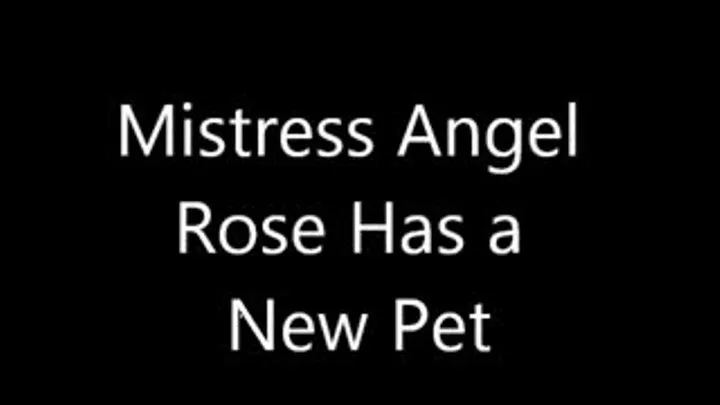 Mistress Angel Rose' Present