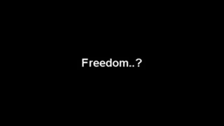 Freedom..?