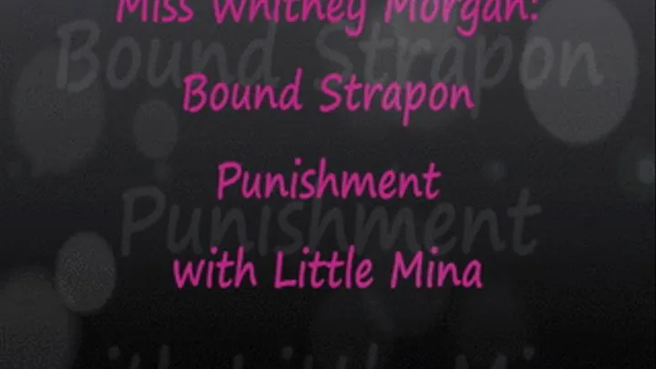 Bound Strapon Punishment with Whitney & Mina