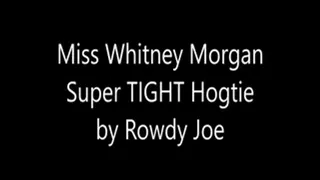 Miss Whitney: Super Tight Hogtie by Rowdy Joe