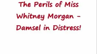 The Perils of Miss Whitney Morgan - DiD!