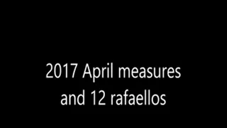 Measures for 2017 April and 12 rafaellos