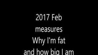 2017 February measures, salads, sandwiches, and eclair