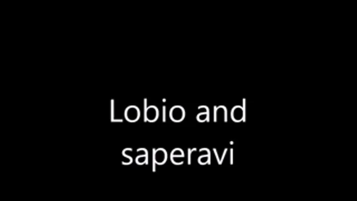 Lobio and saperavi