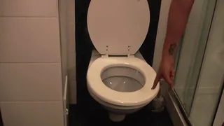 LICK IT OFF THE TOILET SEAT BITCH!