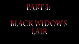 The Black Widow's Lair