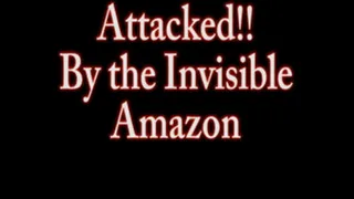 Invisible Amazon