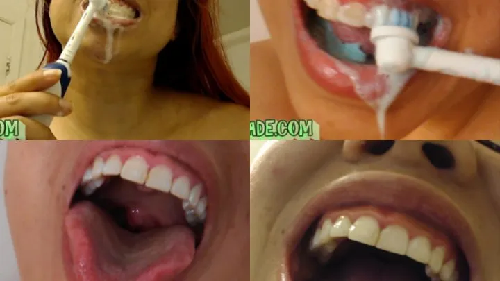 Tooth brush and mouth tours compilation vol 1