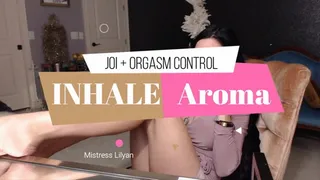 Aroma JOI Orgasm Control