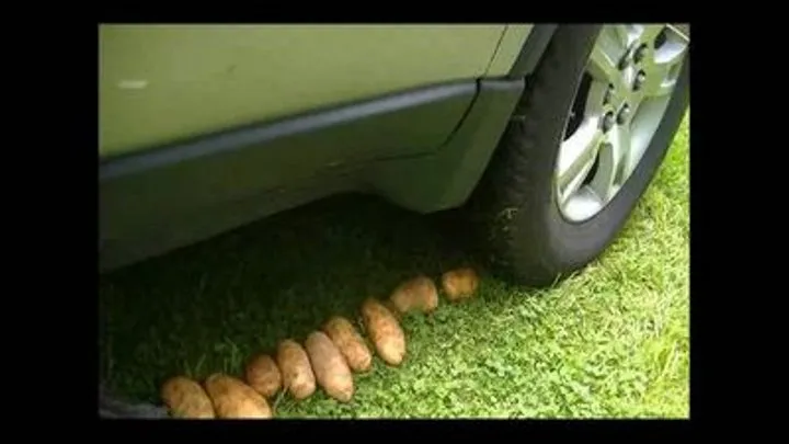 Potatoes and Berries Crushed under Her GMC Arcadia