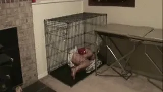 Amber And Nikki In Cage For