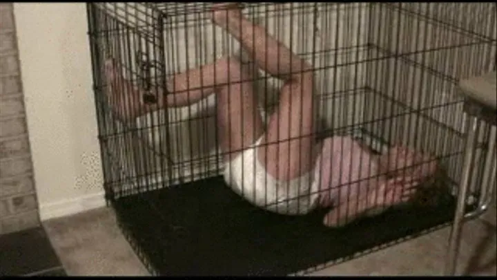 Messy Diaper in Cage