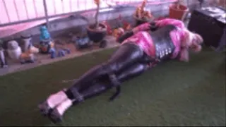 Pink Dress Hogtie in Summer 2022