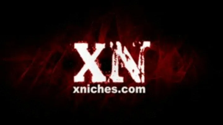 Xniches