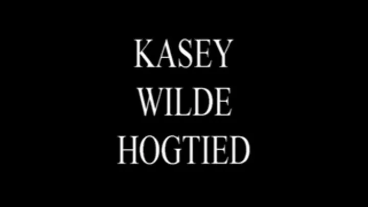 Kasey Wilde Hogtied