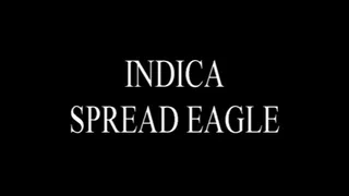 Indica Spread Eagle