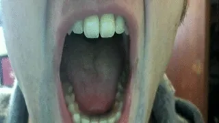 Giant Mouth Eating Cheerios Up Close