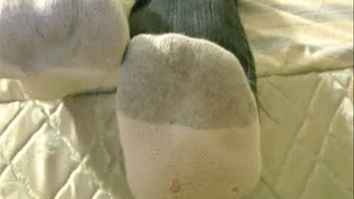 Yummy Male Socks And Soles Dangling In Your Face