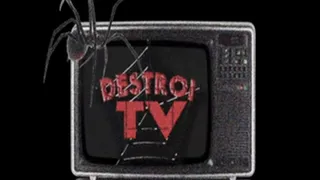 Destroi the Object(CBT-Cock Trample)