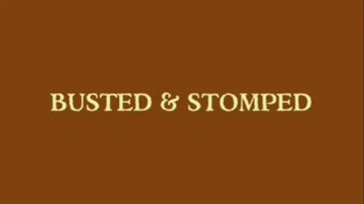 Busted & Stomped