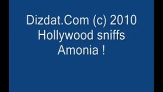 Hollwood Sniffs Amonia