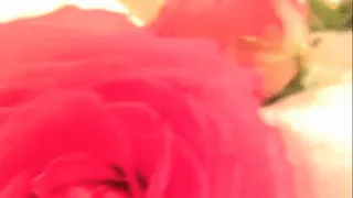 Rose Queen Masturbation