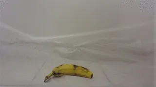 Bound Heels Pulverize Banana
