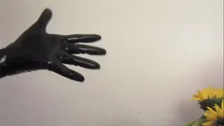 new latex glove play