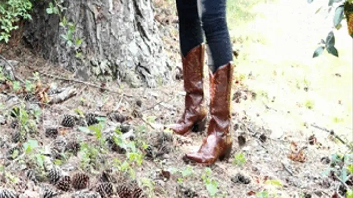Cassandra Laine Crushing Pine Cones in Brown Cowgirl Boots