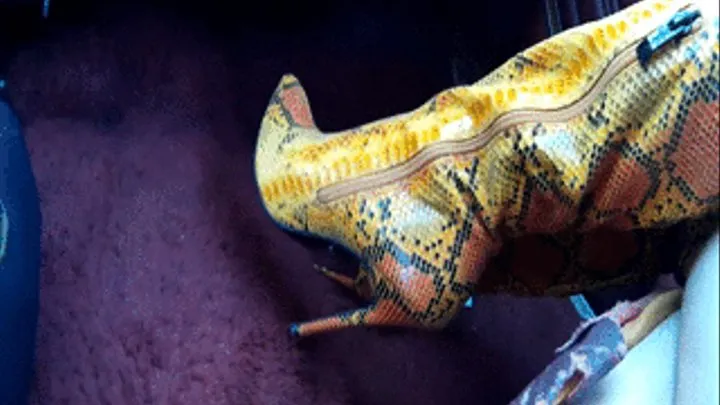 Vivian Ireene Pierce Riding Shotgun in the Jeep Wearing OTK Snakeskin Boots