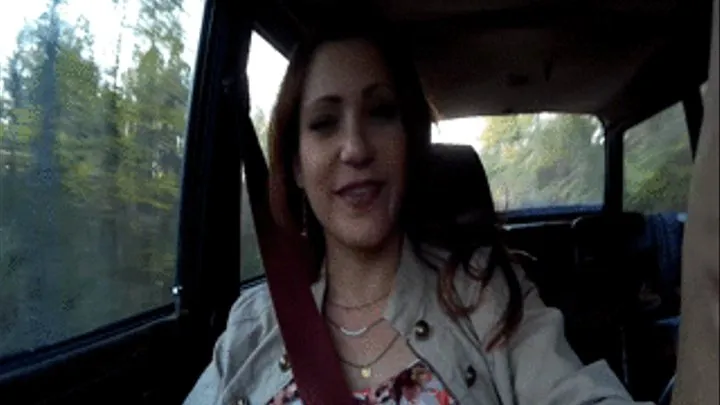 Vivian Ireene Pierce Thanks You for the Ride & Tells You Her Car Trouble in Tan Snakeskin Boots