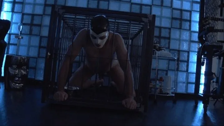 Captive in steel 1