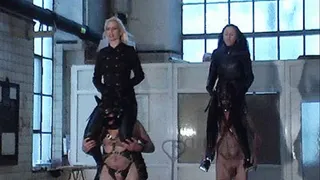 The Ultimate Riding Mistresses Contest - 3