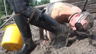 Muddy Boots licking pig humiliation - 2