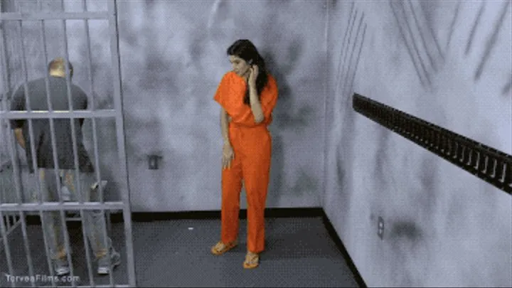 Prison Walk Arielle Lane