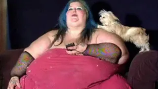 Sinfully Divine SSBBW (over 600 Pounds) & her Chihuahua