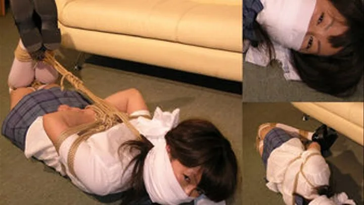 Sayaka Hogtied (ECGY-002-C)