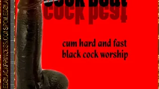 Cock Beat