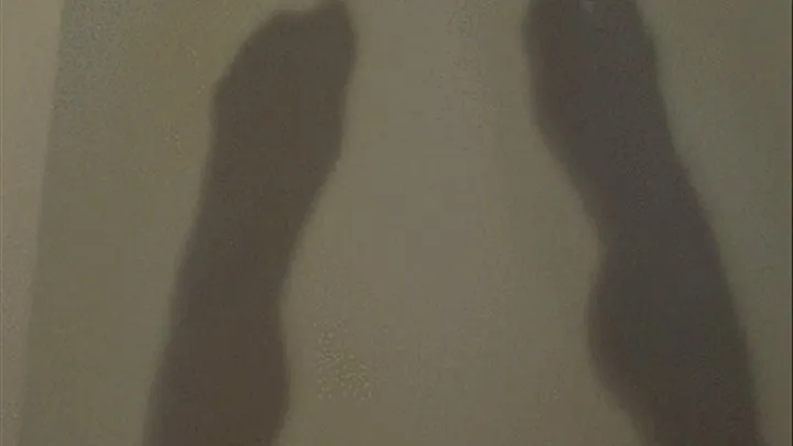 FEET Shadow