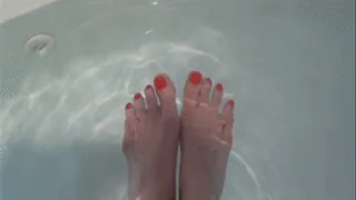 Cum on my RED TOES